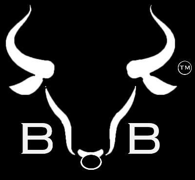  Company Logo by Biggie Bull in  