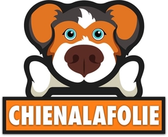 chienalafolie